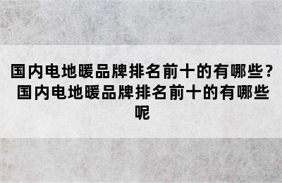 国内电地暖品牌排名前十的有哪些？ 国内电地暖品牌排名前十的有哪些呢